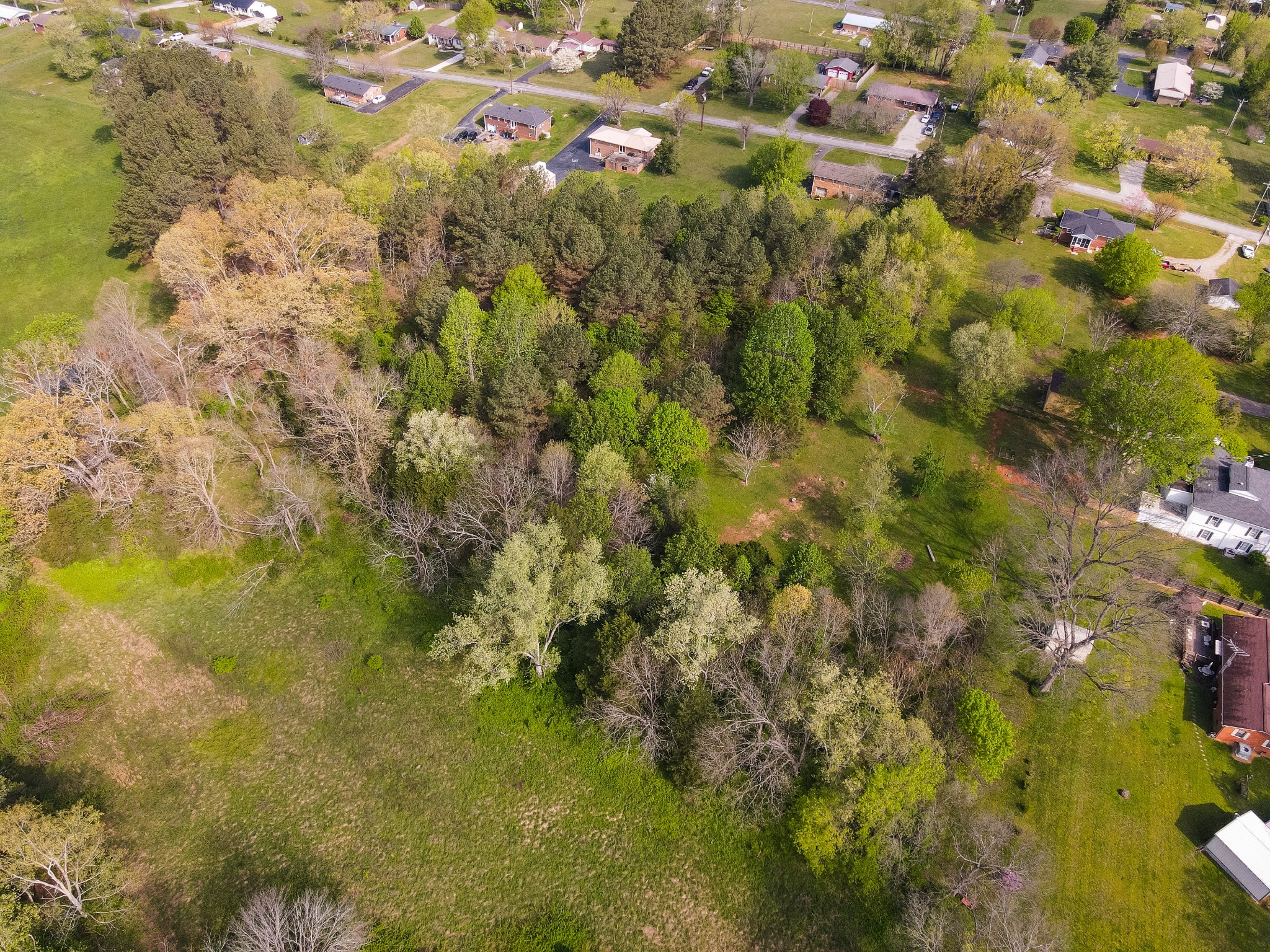 673 Charles Golden Rd Property Photo 4