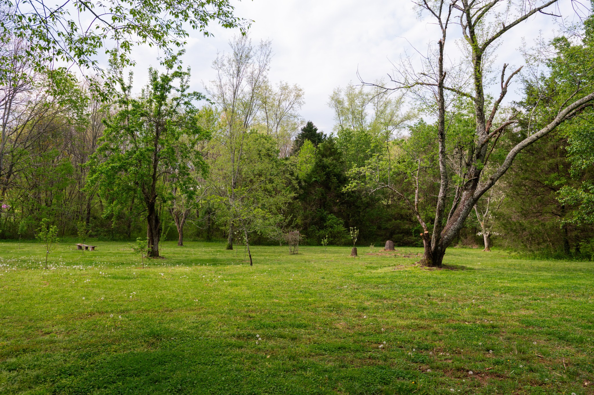 673 Charles Golden Rd Property Photo 24