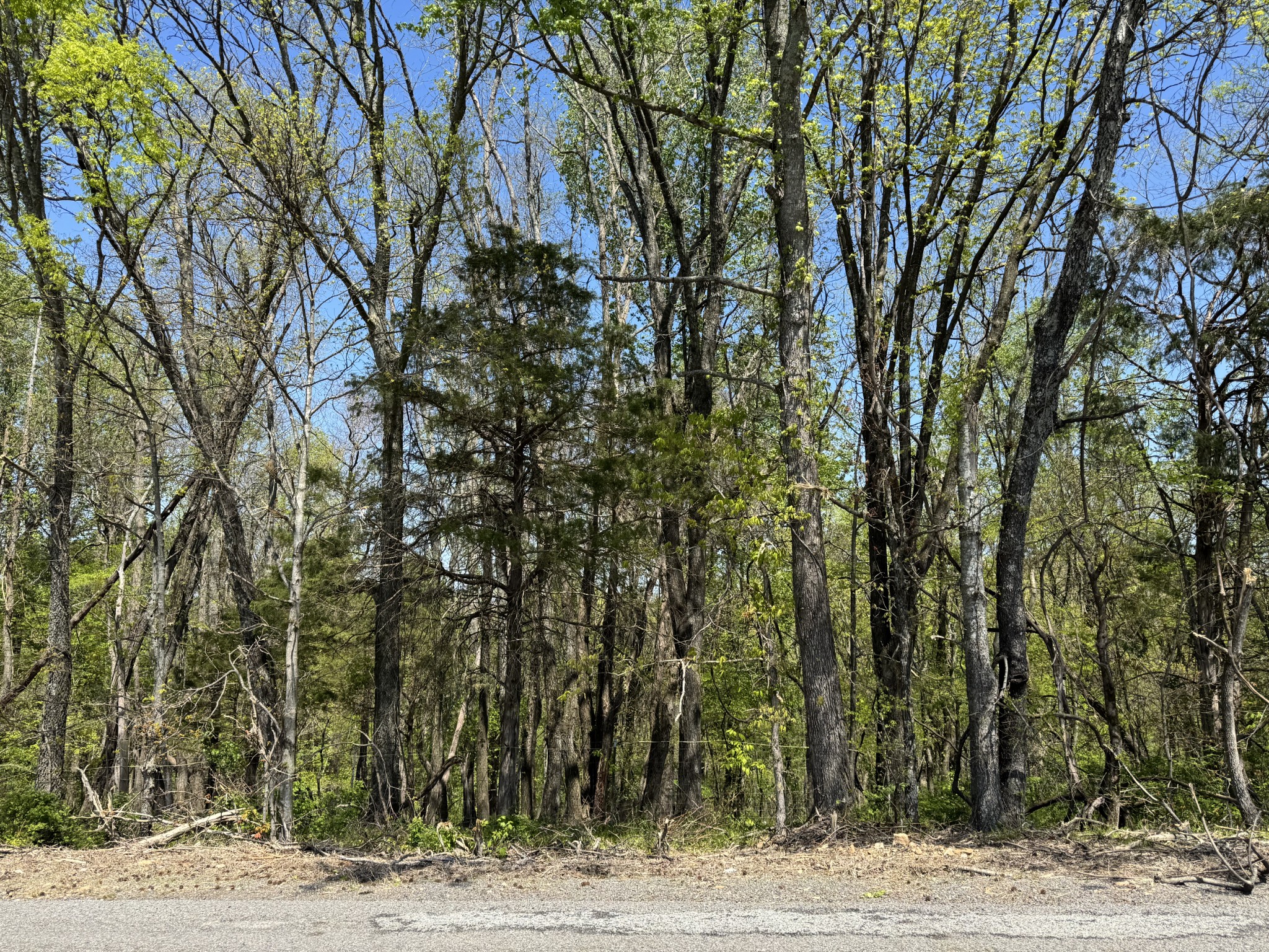 0 Henry Bayless Rd Property Photo 2