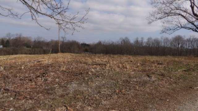 1a Earl Watson Rd Property Photo 3