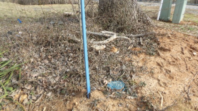 1a Earl Watson Rd Property Photo 8