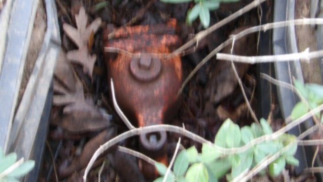 1a Earl Watson Rd Property Photo 12