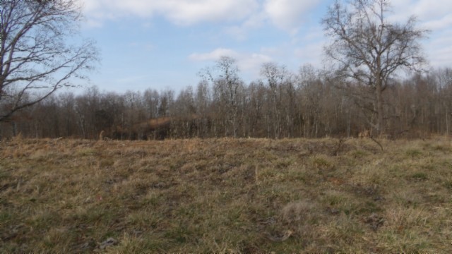 1a Earl Watson Rd Property Photo 17