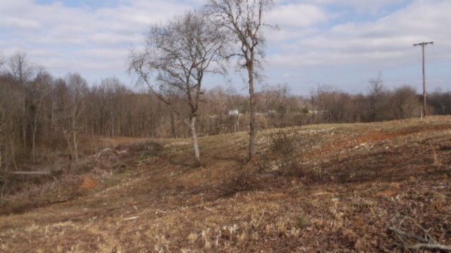 1a Earl Watson Rd Property Photo 18