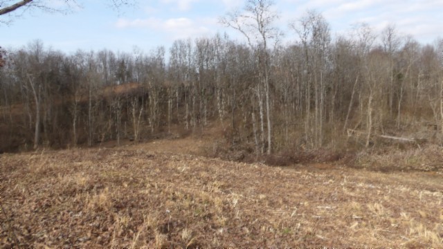 1a Earl Watson Rd Property Photo 19