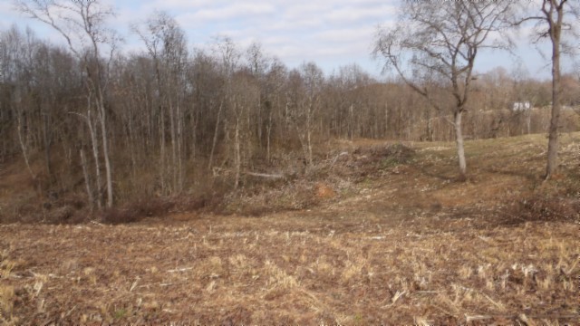 1a Earl Watson Rd Property Photo 20