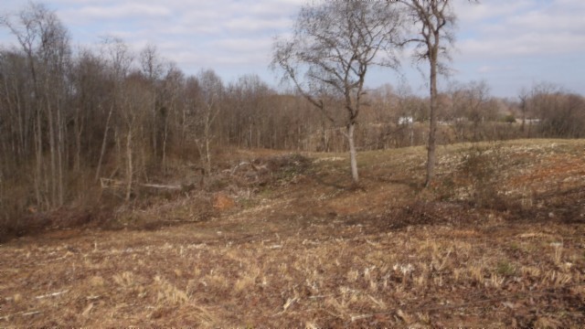 1a Earl Watson Rd Property Photo 21
