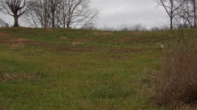 1a Earl Watson Rd Property Photo 28