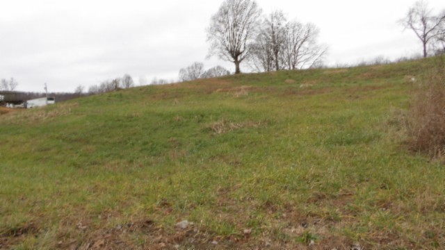 1a Earl Watson Rd Property Photo 29