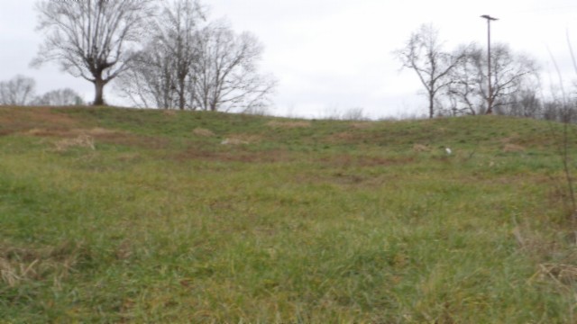 1a Earl Watson Rd Property Photo 30