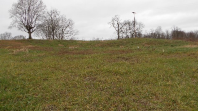 1a Earl Watson Rd Property Photo 31