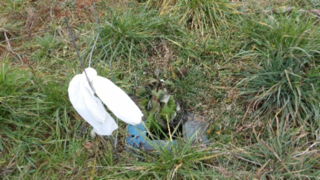 1a Earl Watson Rd Property Photo 32