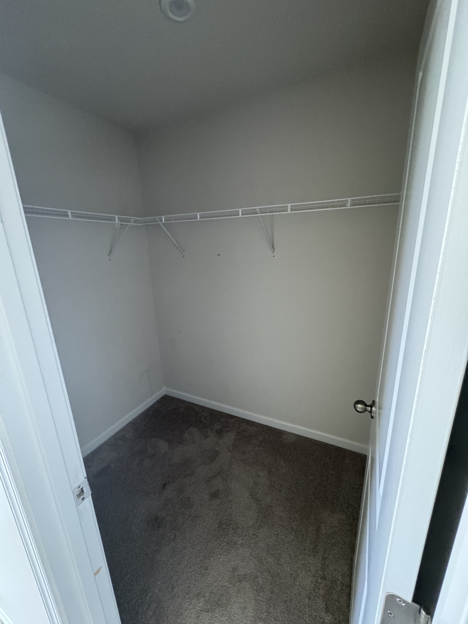 4116 Chambord Dr Property Photo 10