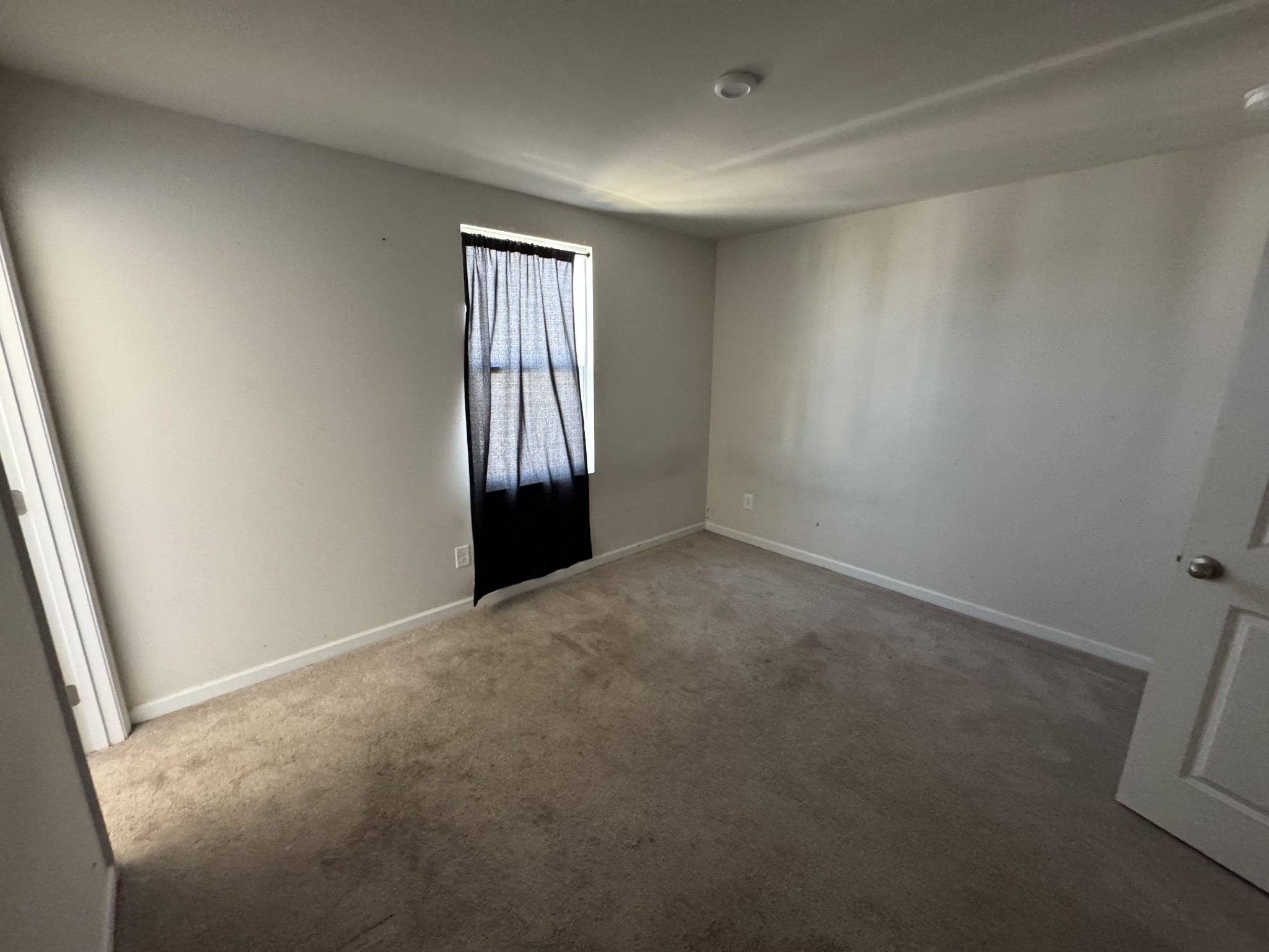 4116 Chambord Dr Property Photo 11