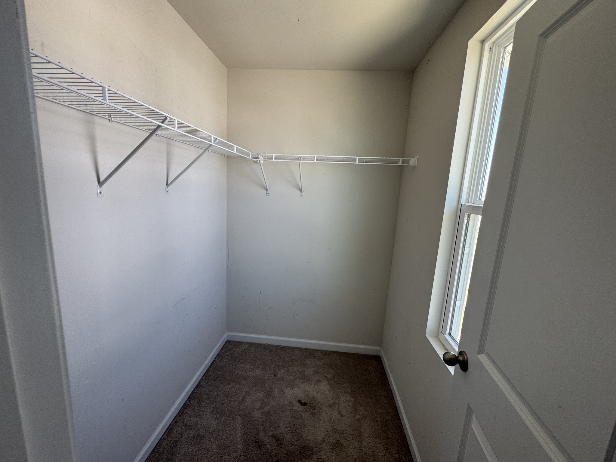 4116 Chambord Dr Property Photo 12