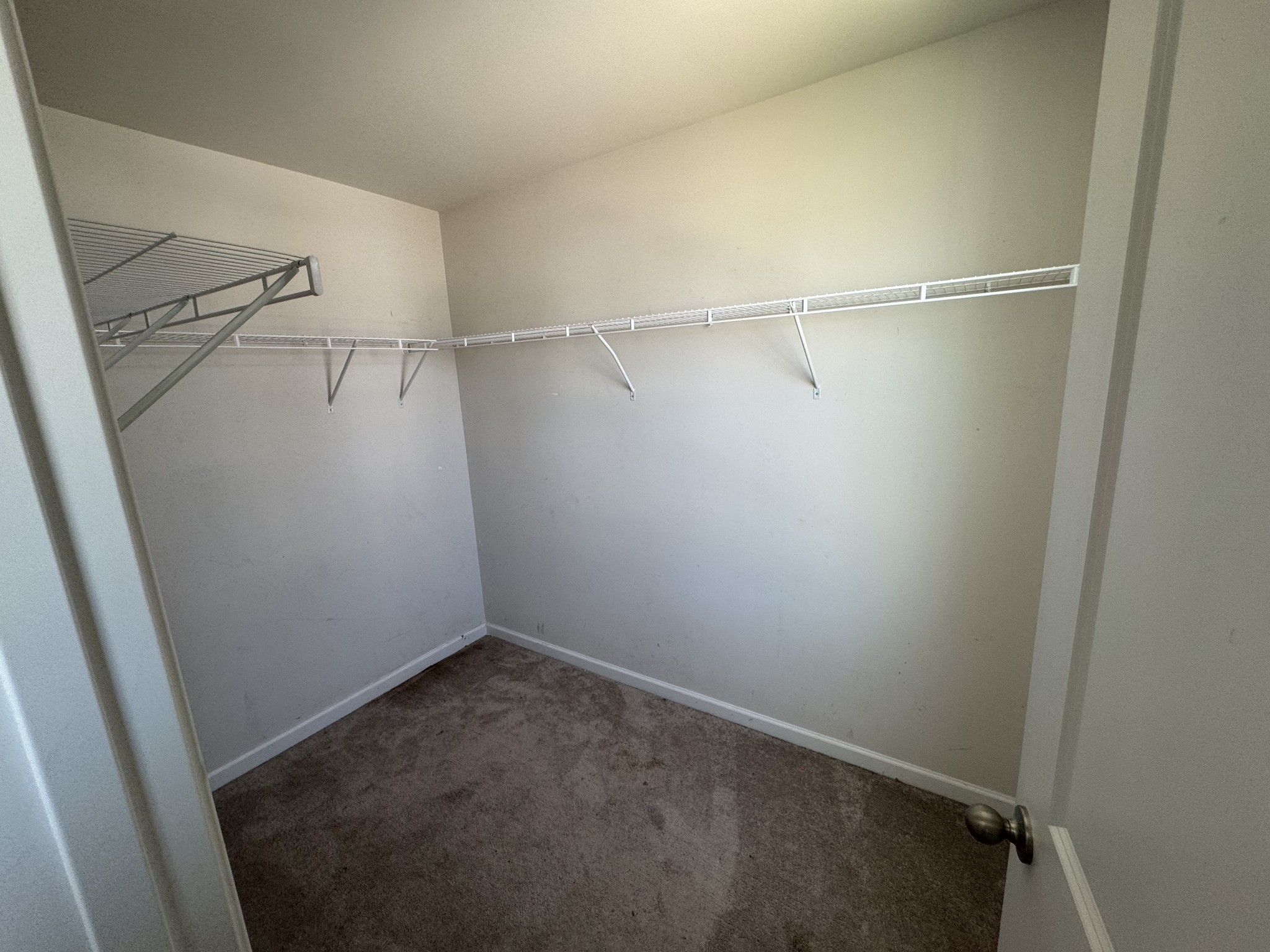 4116 Chambord Dr Property Photo 14