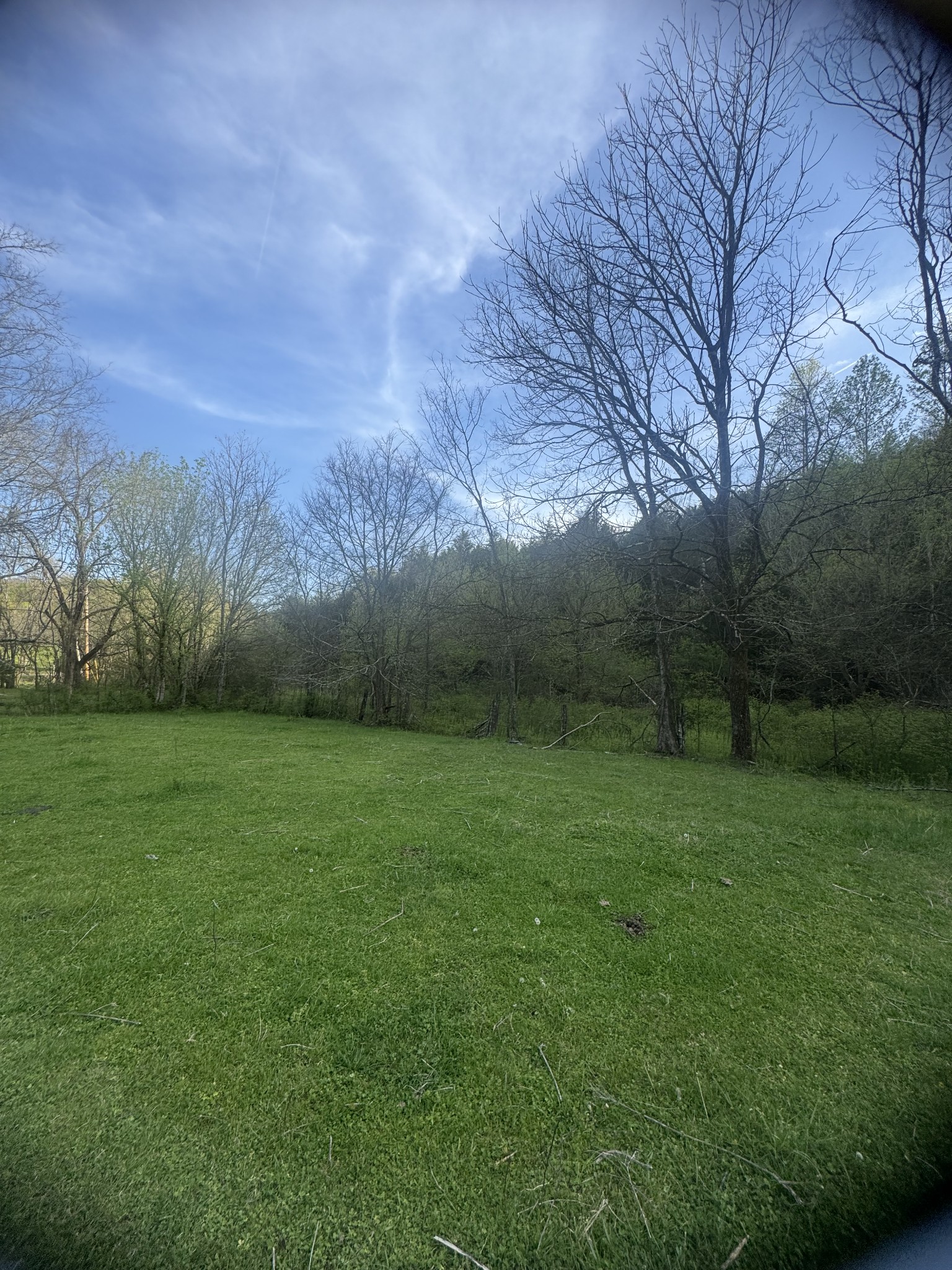419 Tillman Hollow Rd Property Photo