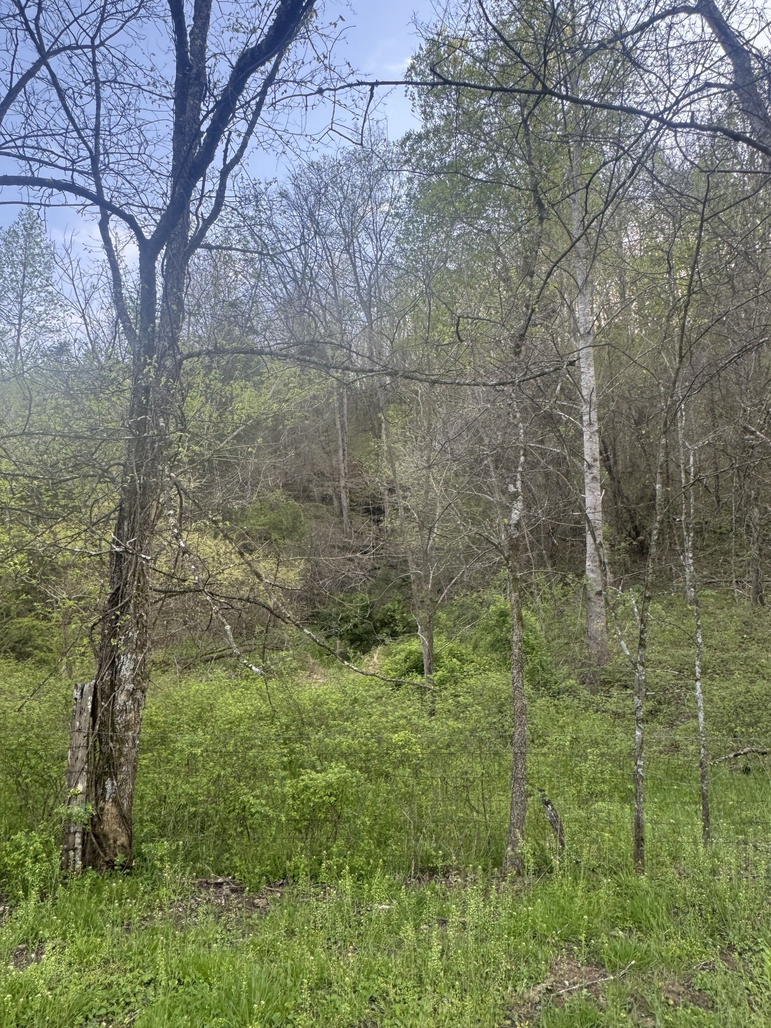 419 Tillman Hollow Rd Property Photo 3
