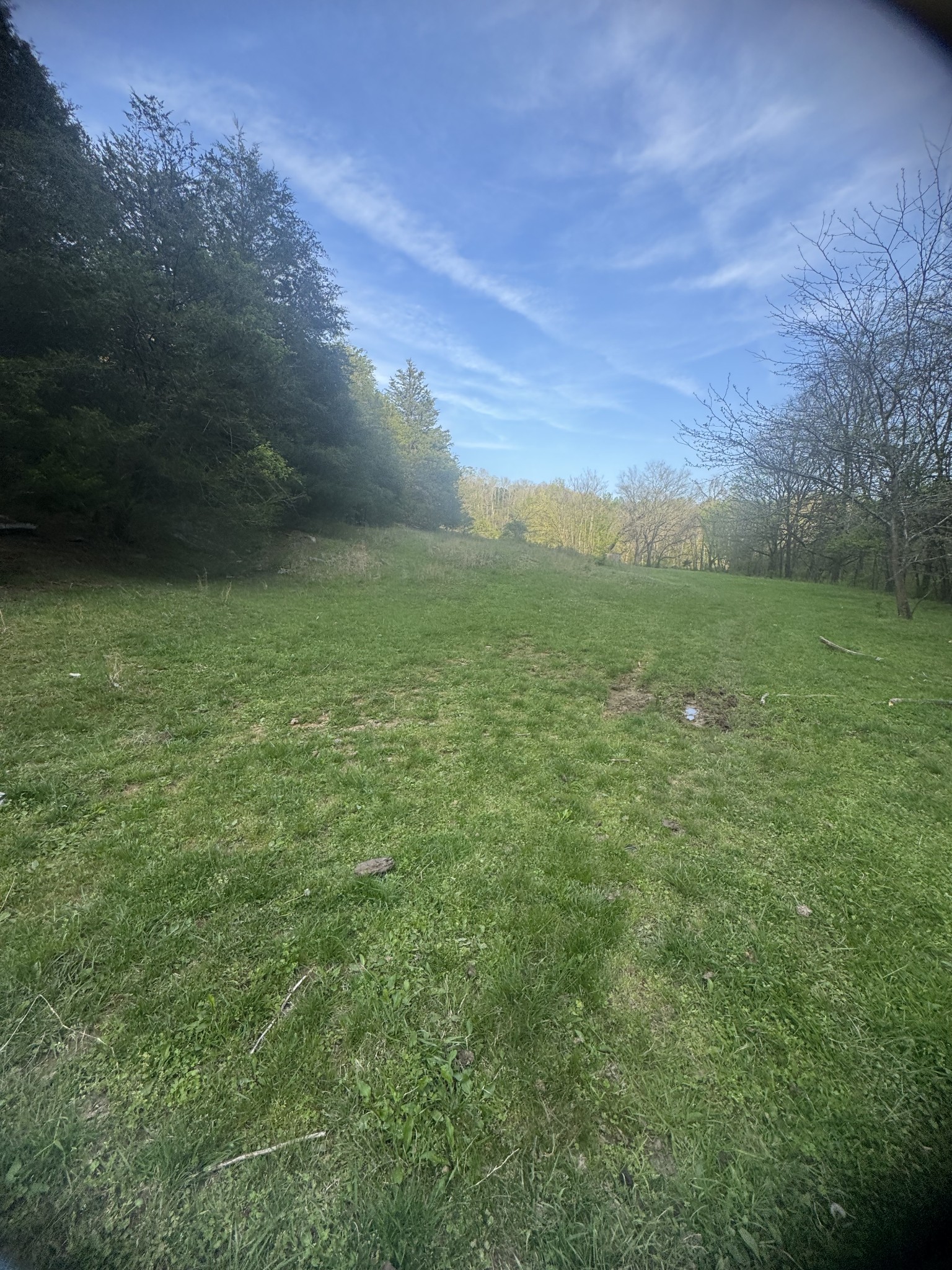 419 Tillman Hollow Rd Property Photo 4
