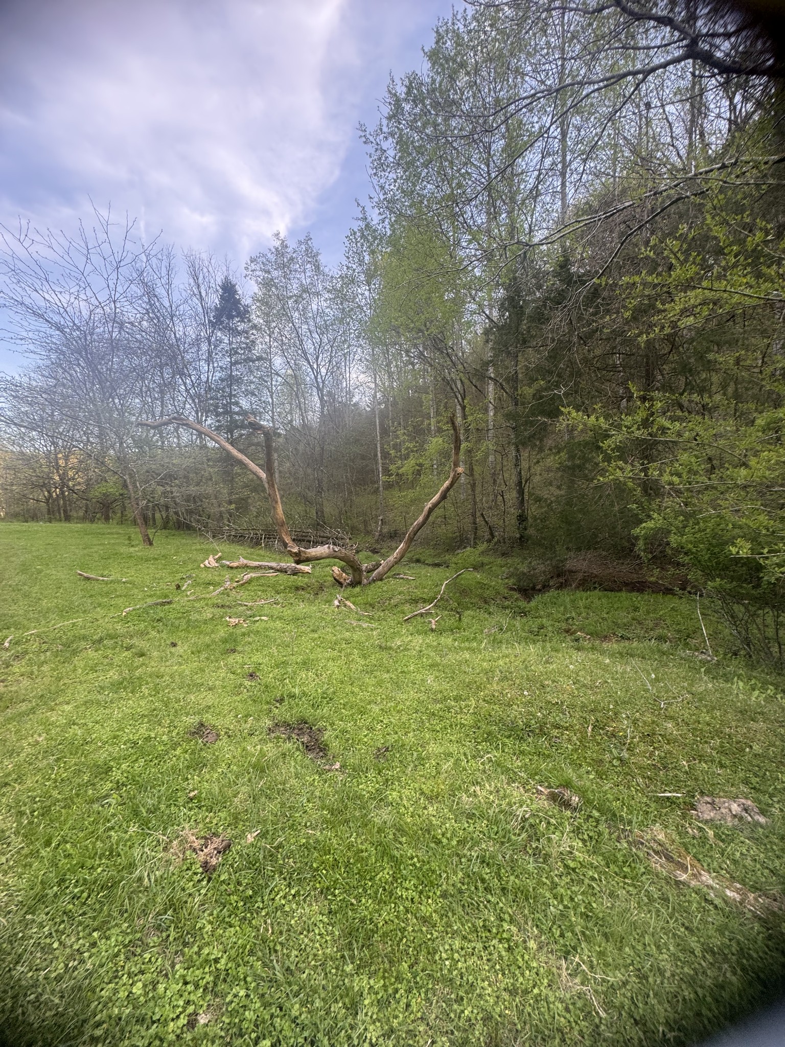 419 Tillman Hollow Rd Property Photo 5
