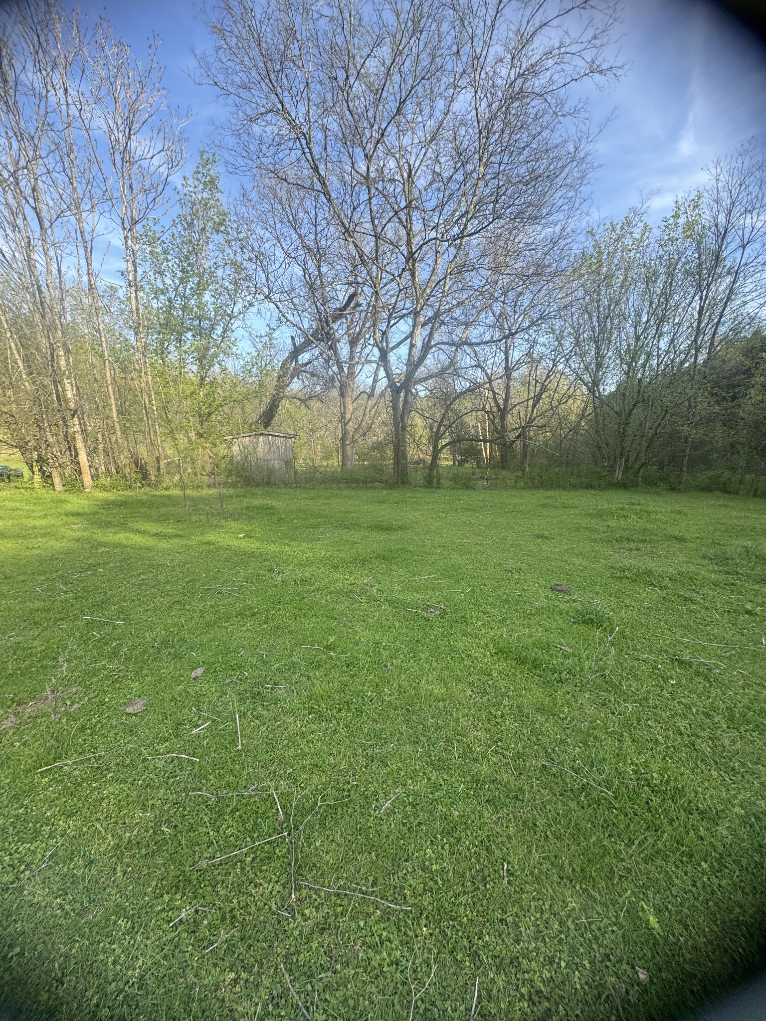 419 Tillman Hollow Rd Property Photo 9