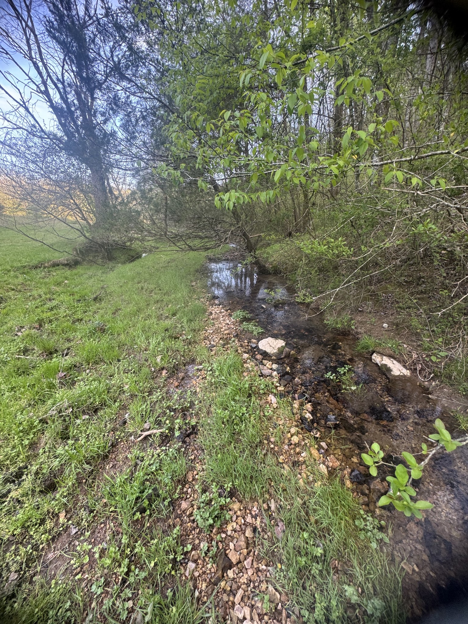 419 Tillman Hollow Rd Property Photo 11