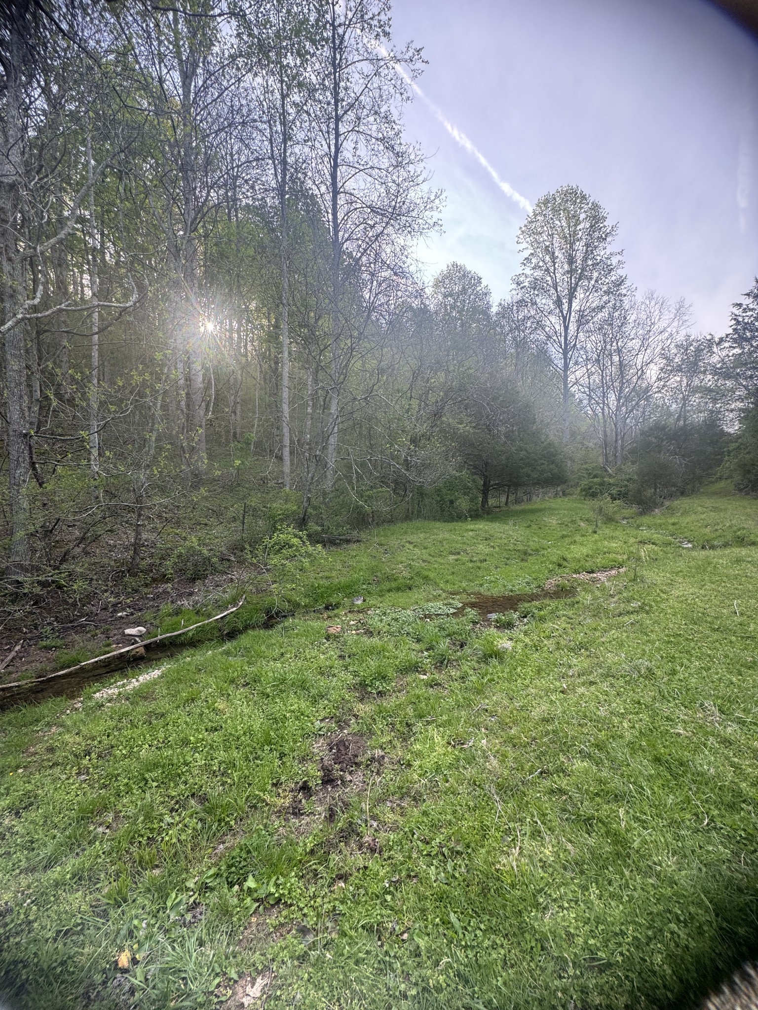 419 Tillman Hollow Rd Property Photo 14