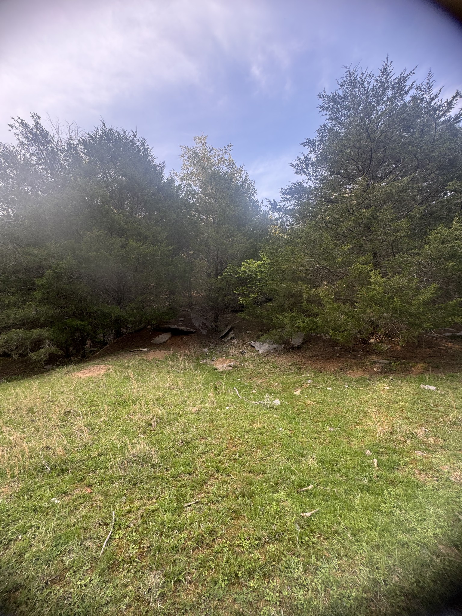 419 Tillman Hollow Rd Property Photo 15