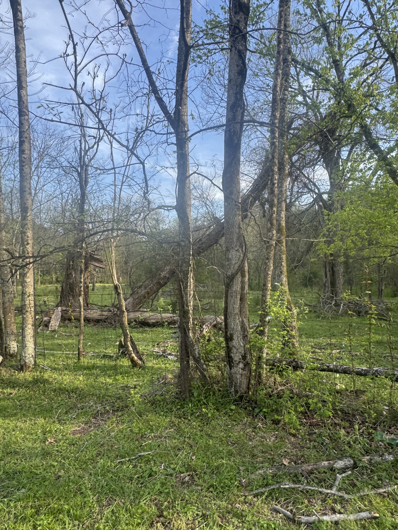 419 Tillman Hollow Rd Property Photo 17
