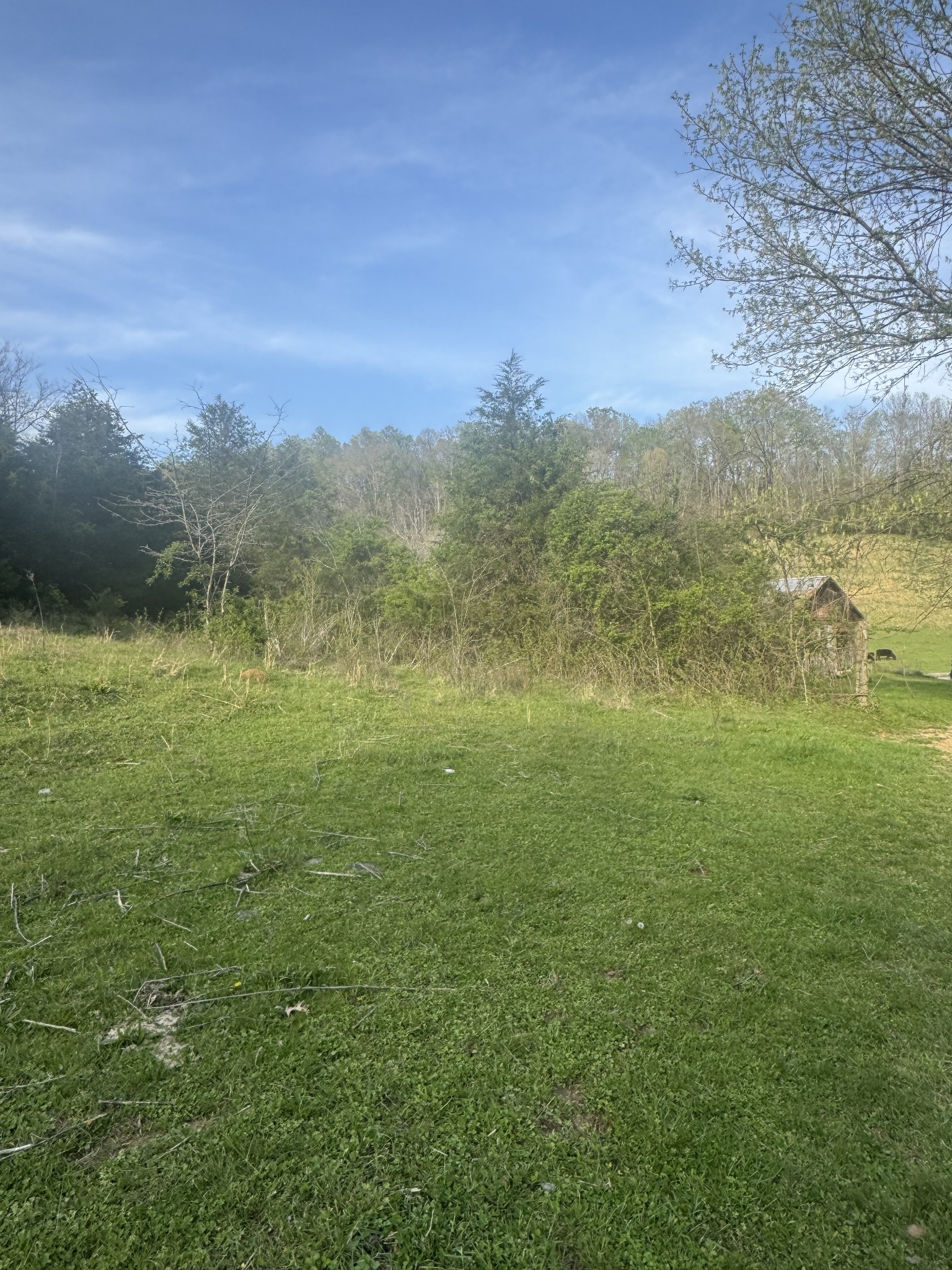 419 Tillman Hollow Rd Property Photo 18