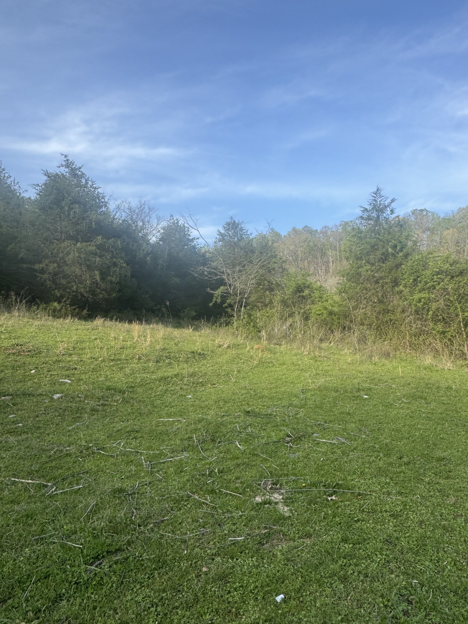 419 Tillman Hollow Rd Property Photo 25