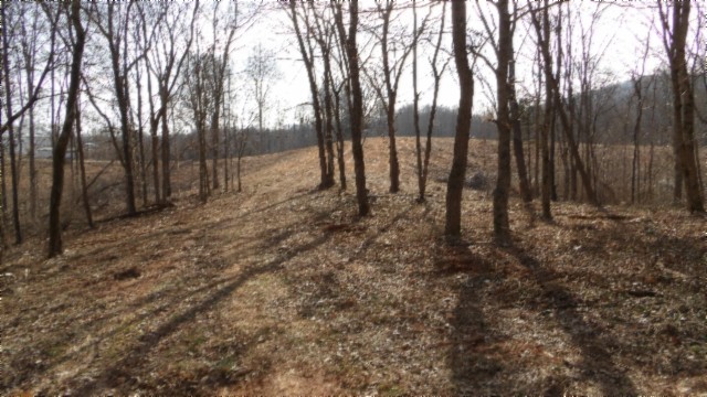 1b Earl Watson Rd Property Photo