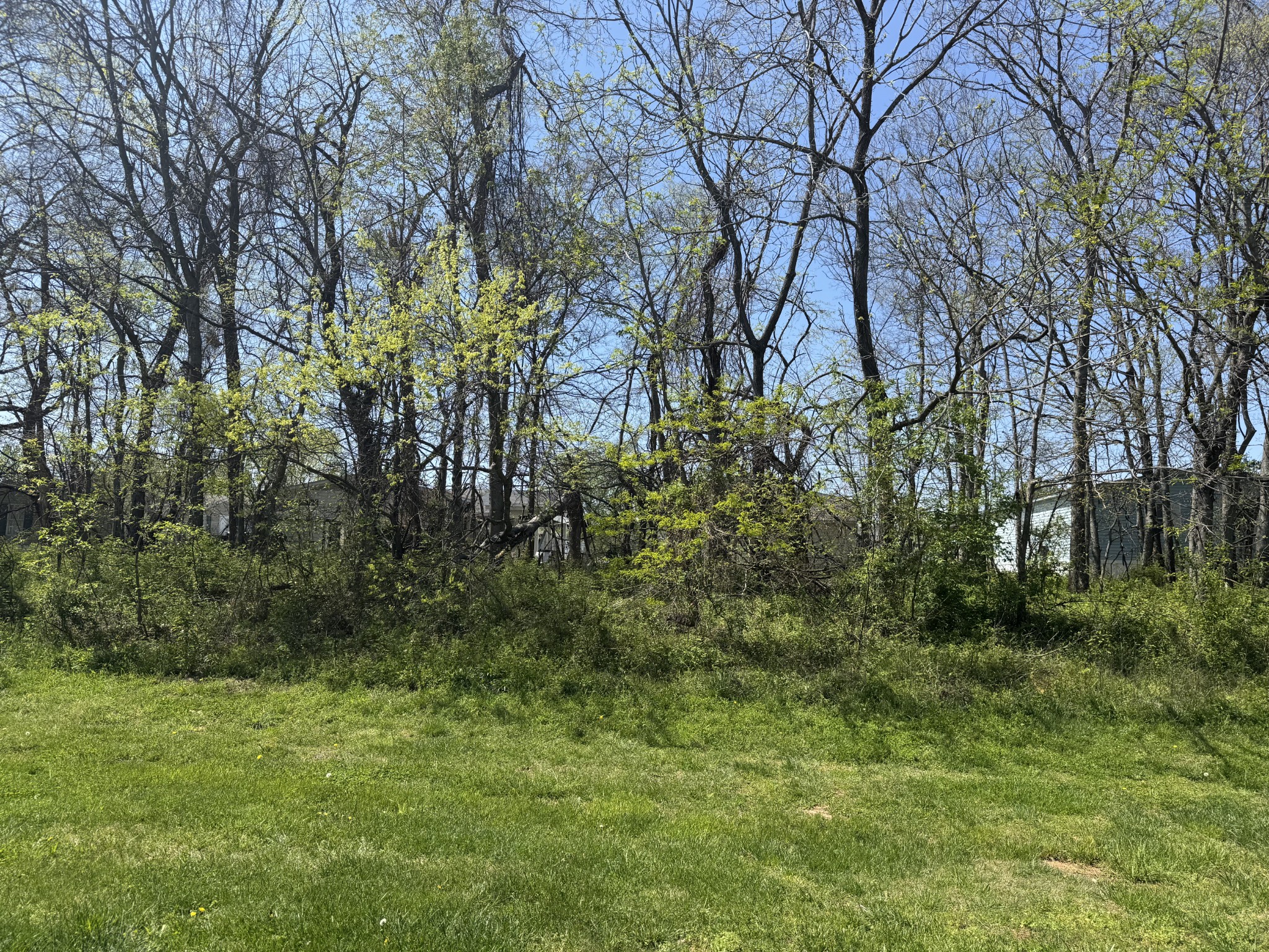 147 Alexander Blvd Property Photo 30