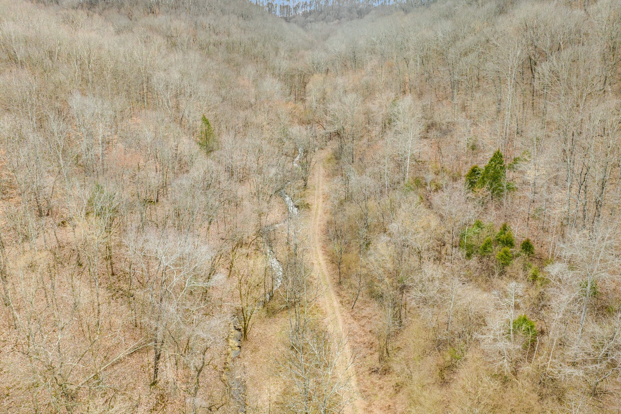 811 Clay Lick Ct Property Photo 2