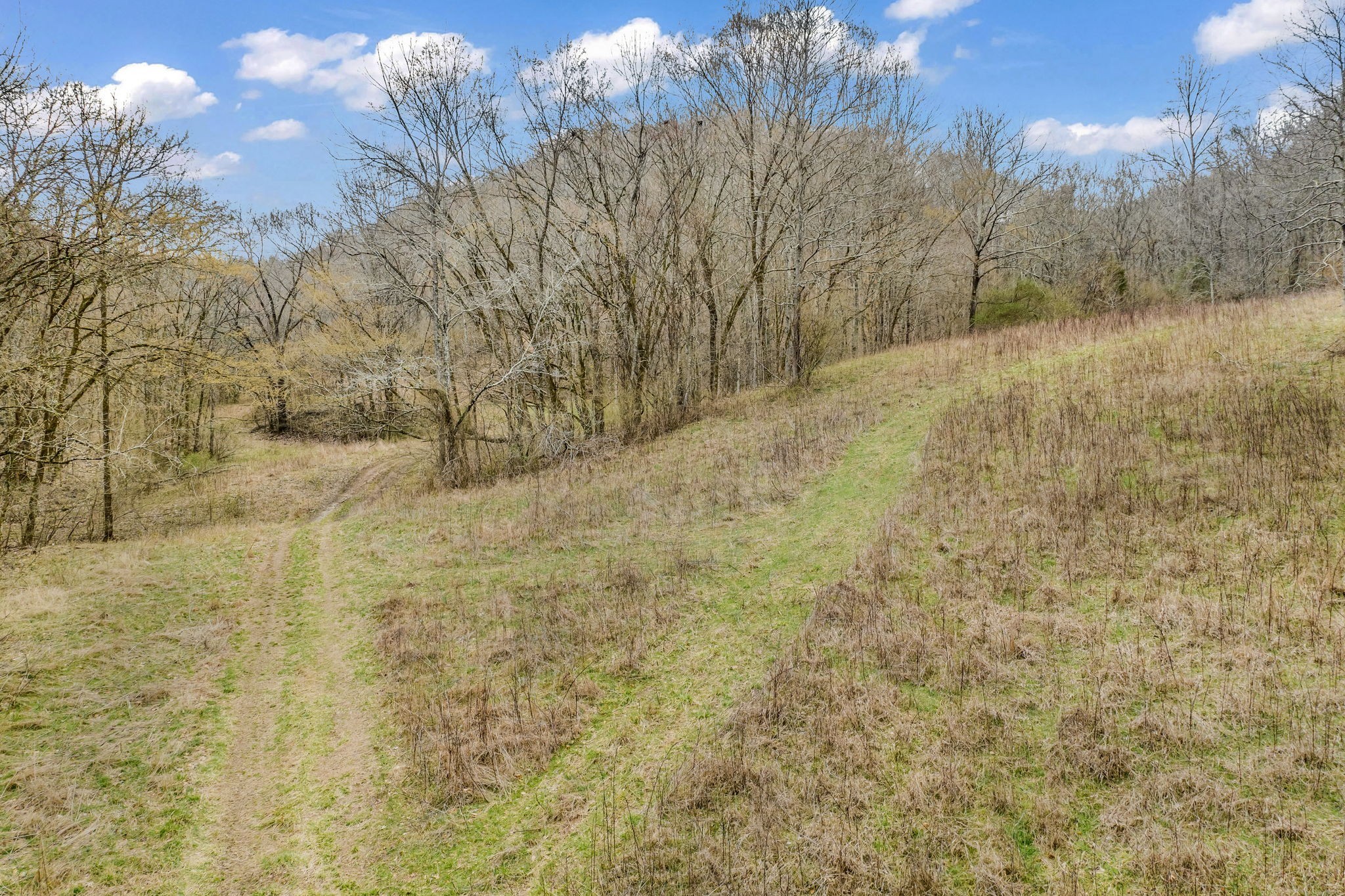 811 Clay Lick Ct Property Photo 7