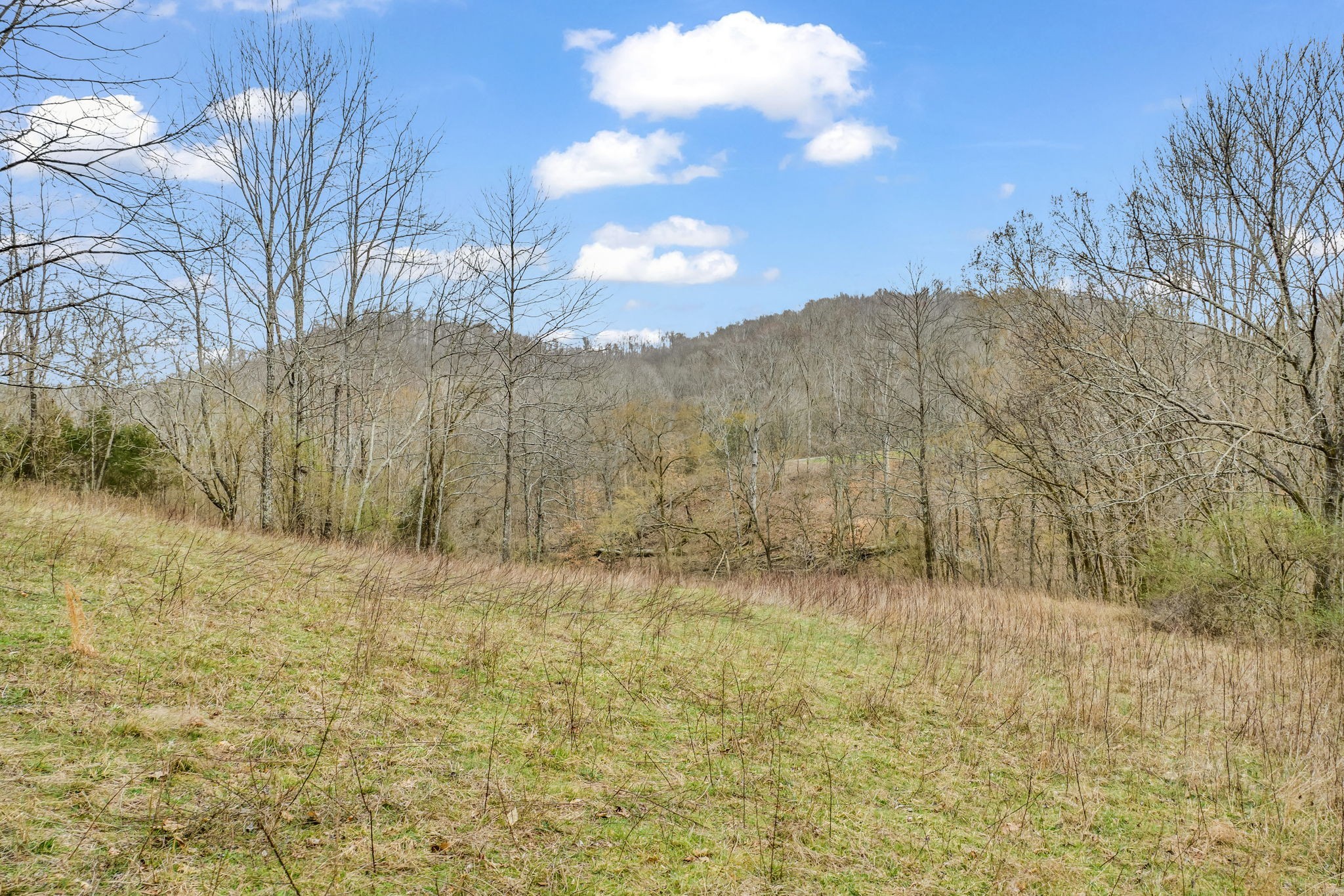 811 Clay Lick Ct Property Photo 11