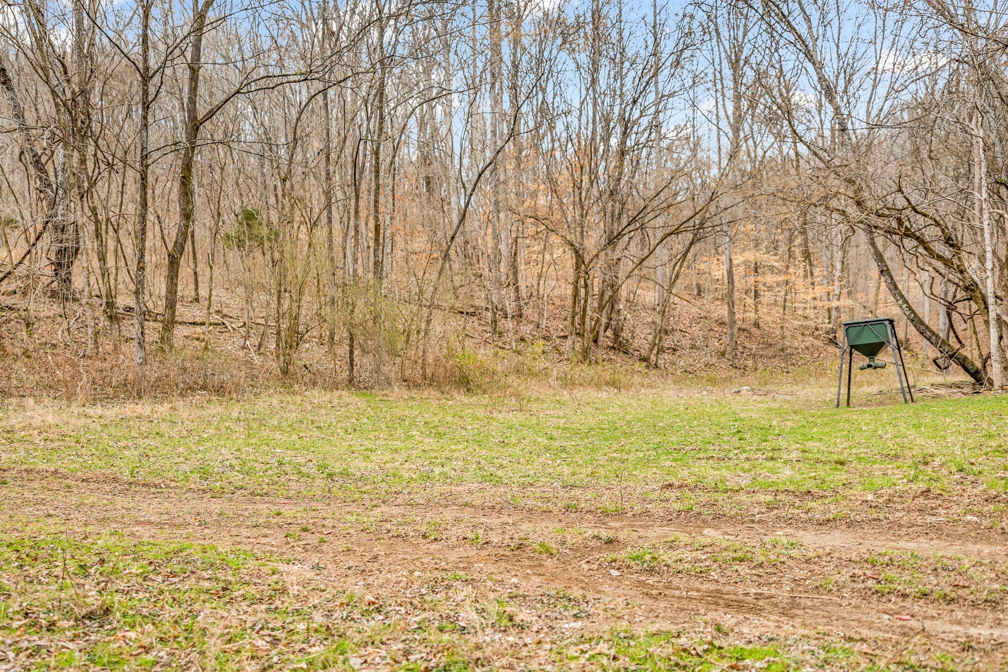 811 Clay Lick Ct Property Photo 19