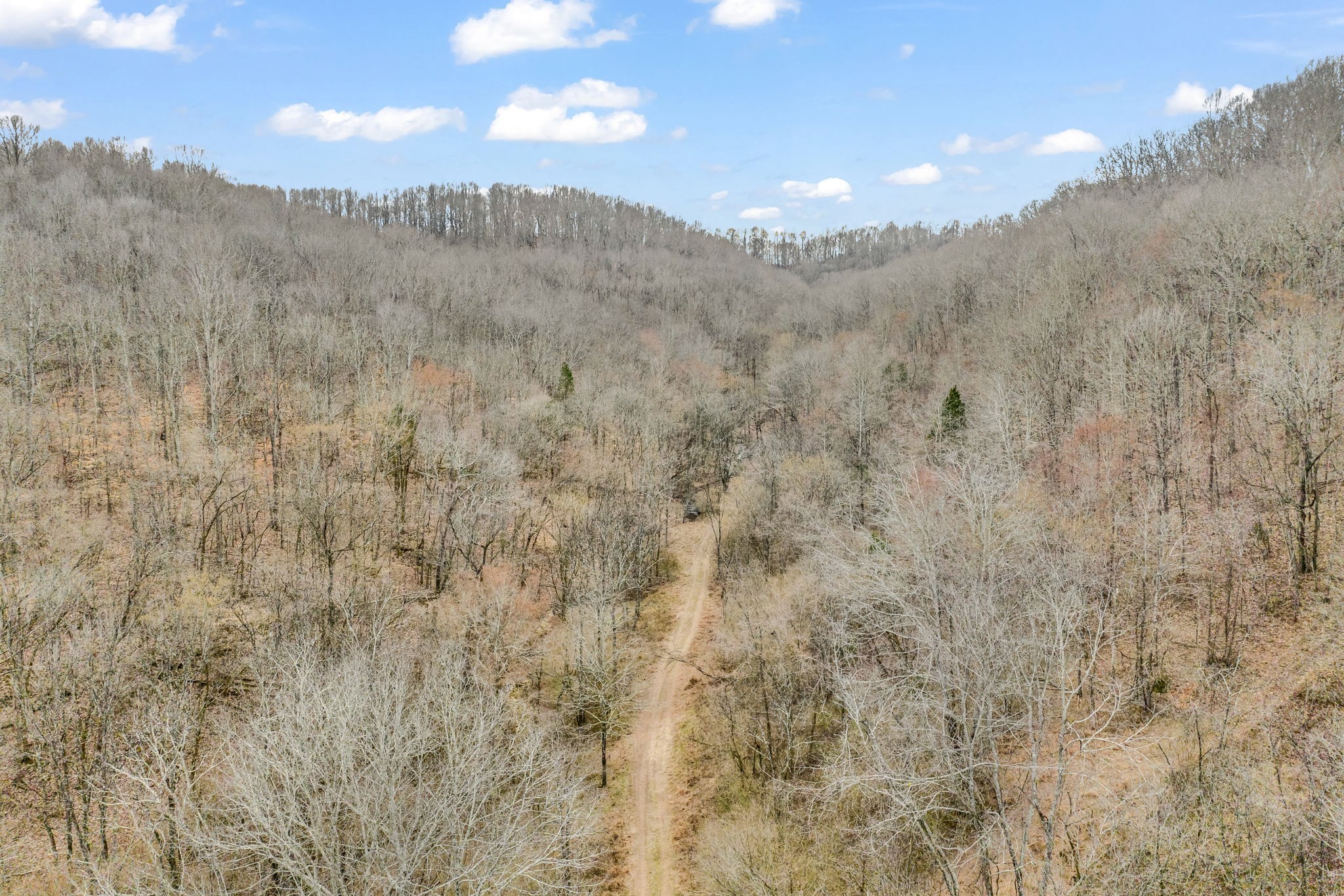 811 Clay Lick Ct Property Photo 21