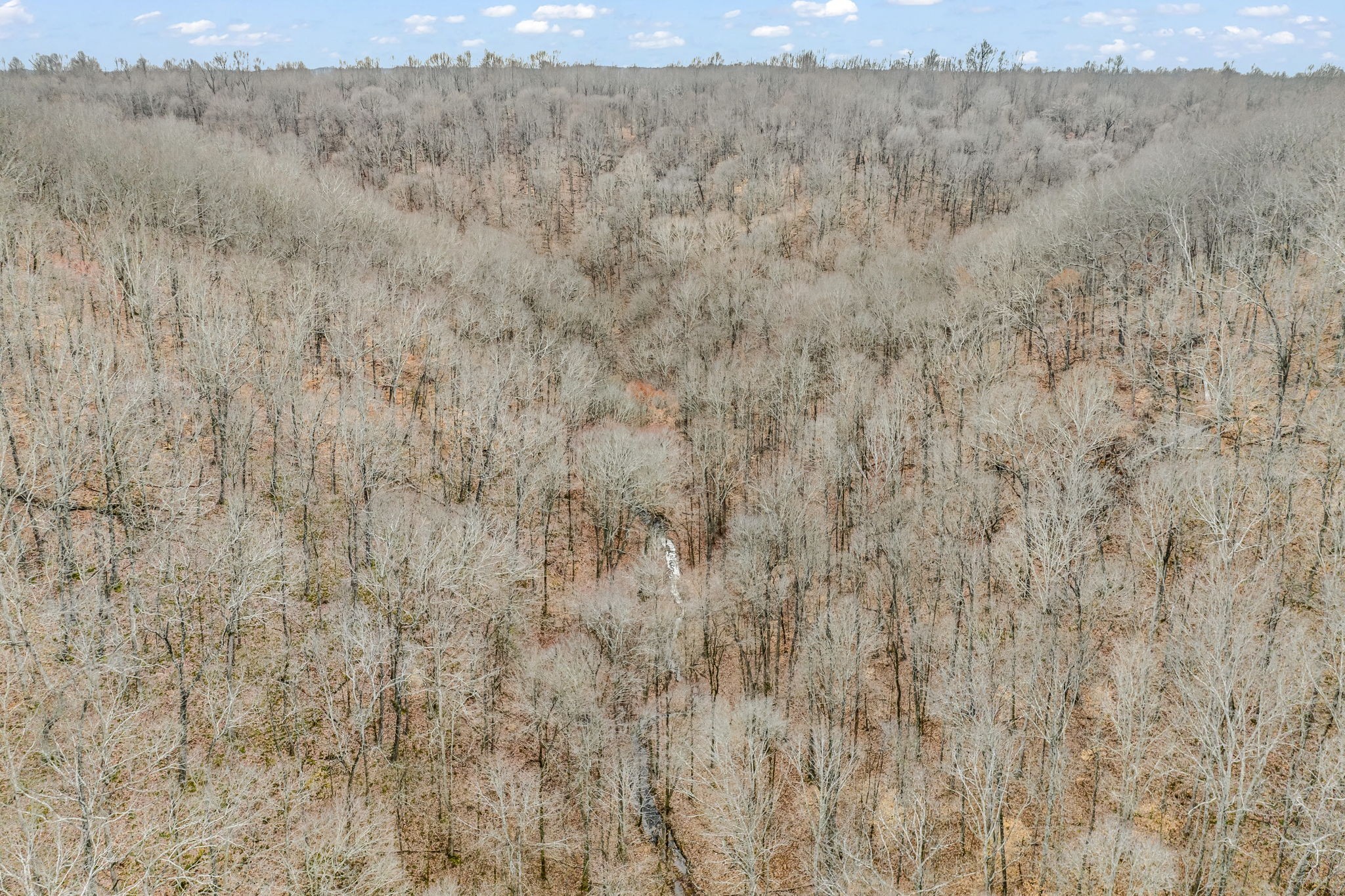811 Clay Lick Ct Property Photo 23