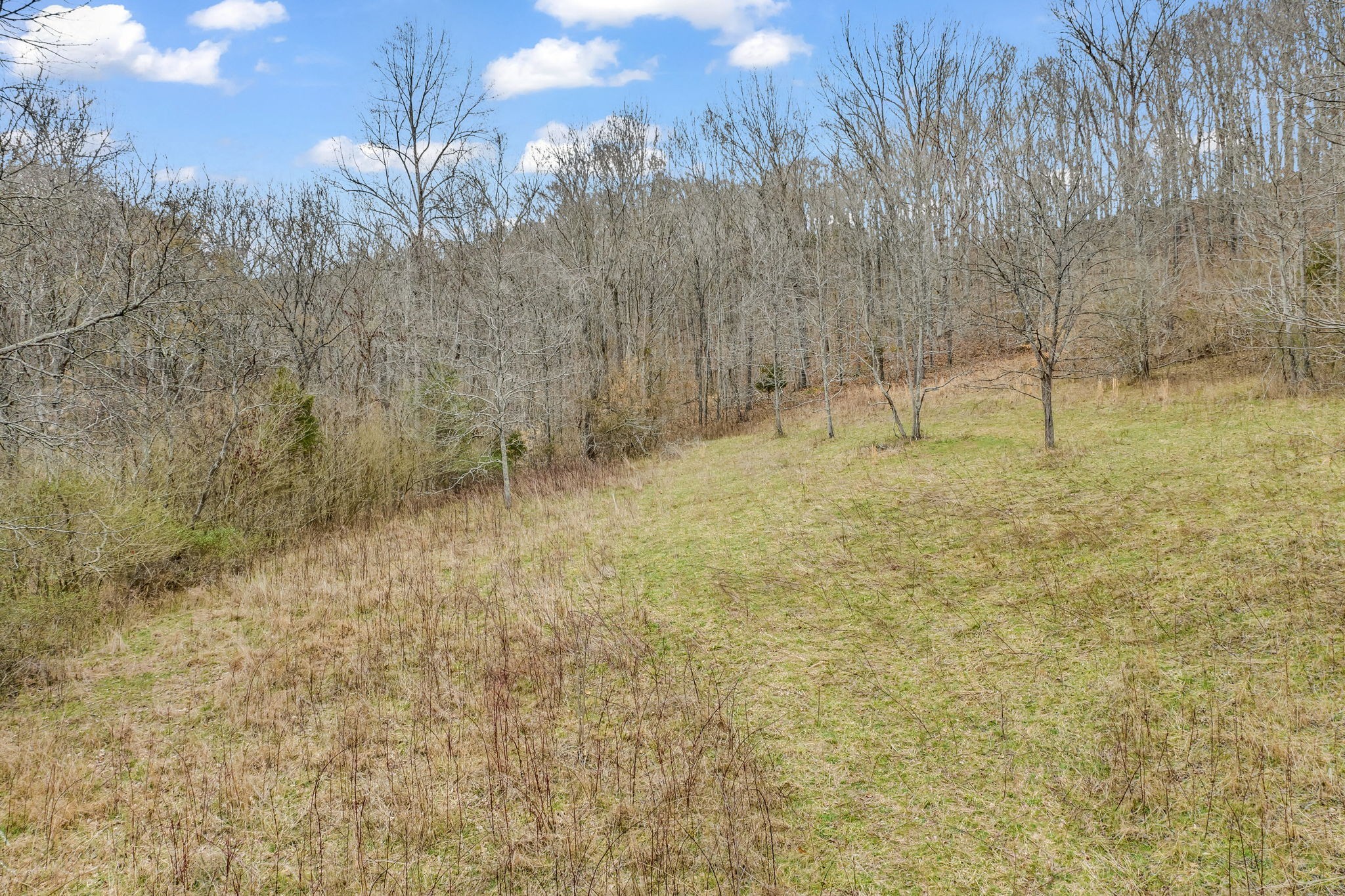 811 Clay Lick Ct Property Photo 24