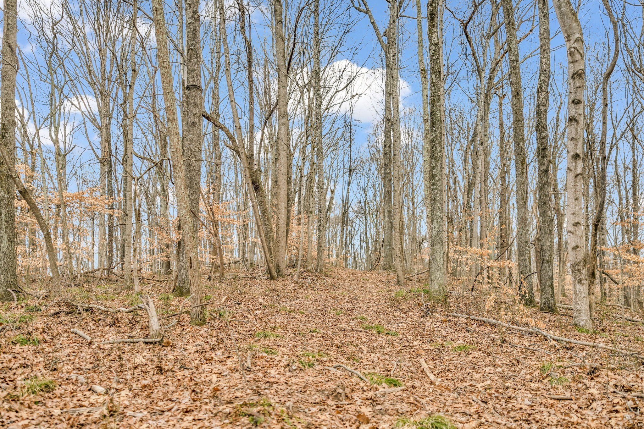 811 Clay Lick Ct Property Photo 28