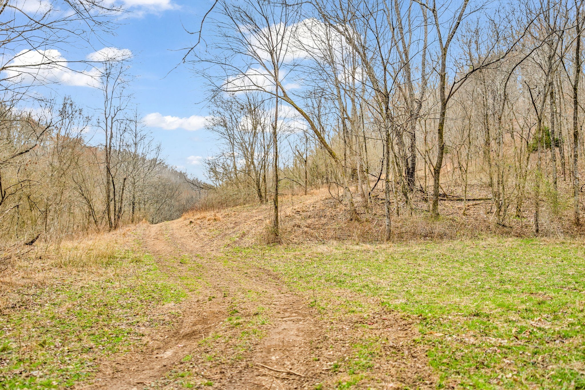 811 Clay Lick Ct Property Photo 31