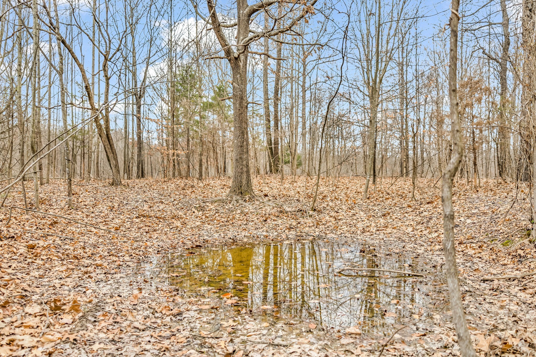 811 Clay Lick Ct Property Photo 35