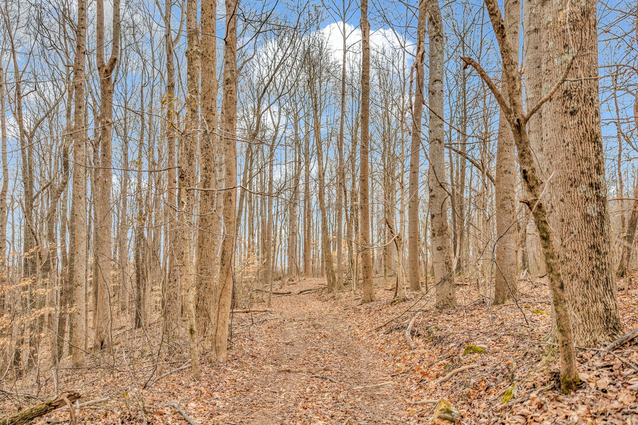811 Clay Lick Ct Property Photo 36