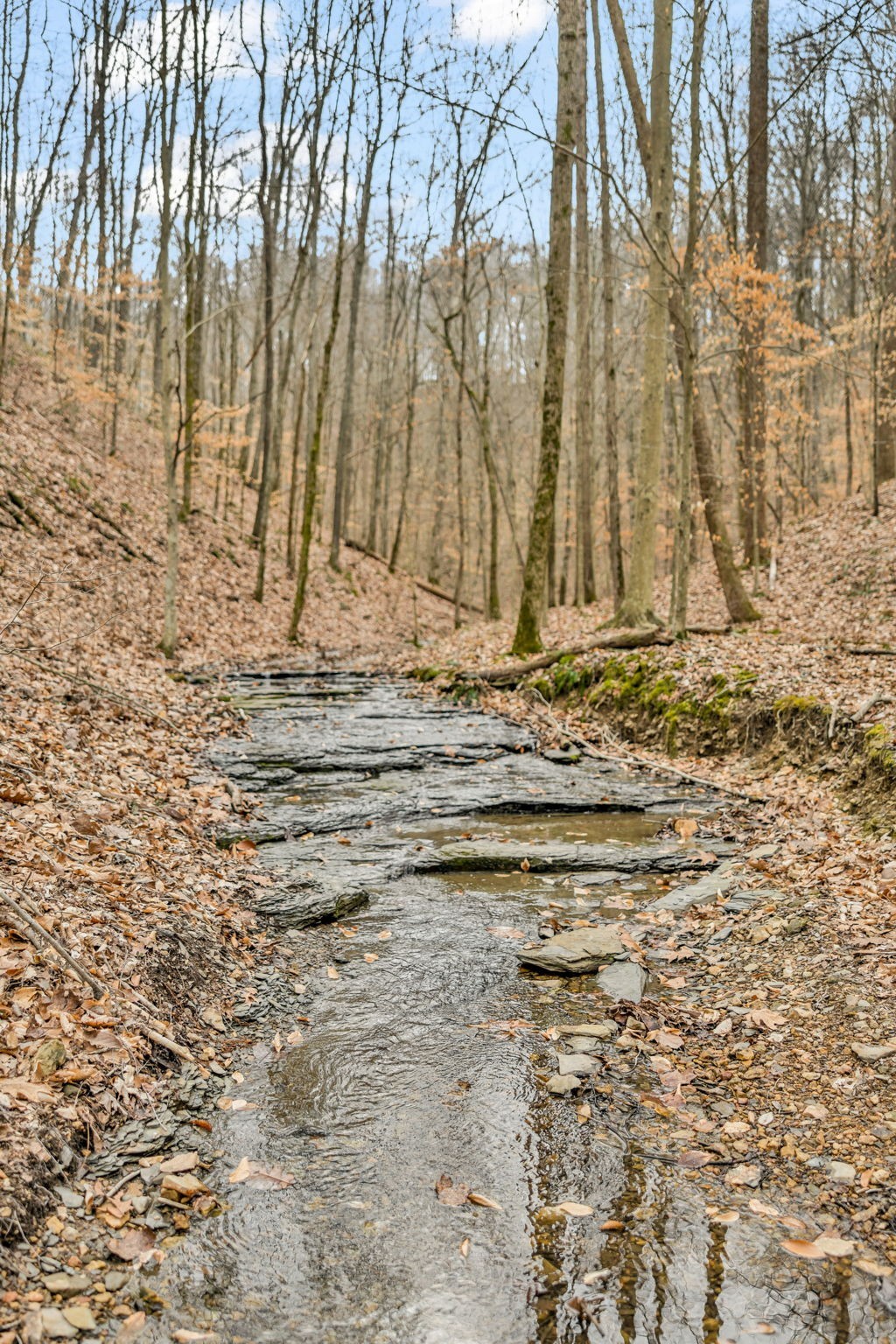 811 Clay Lick Ct Property Photo 39