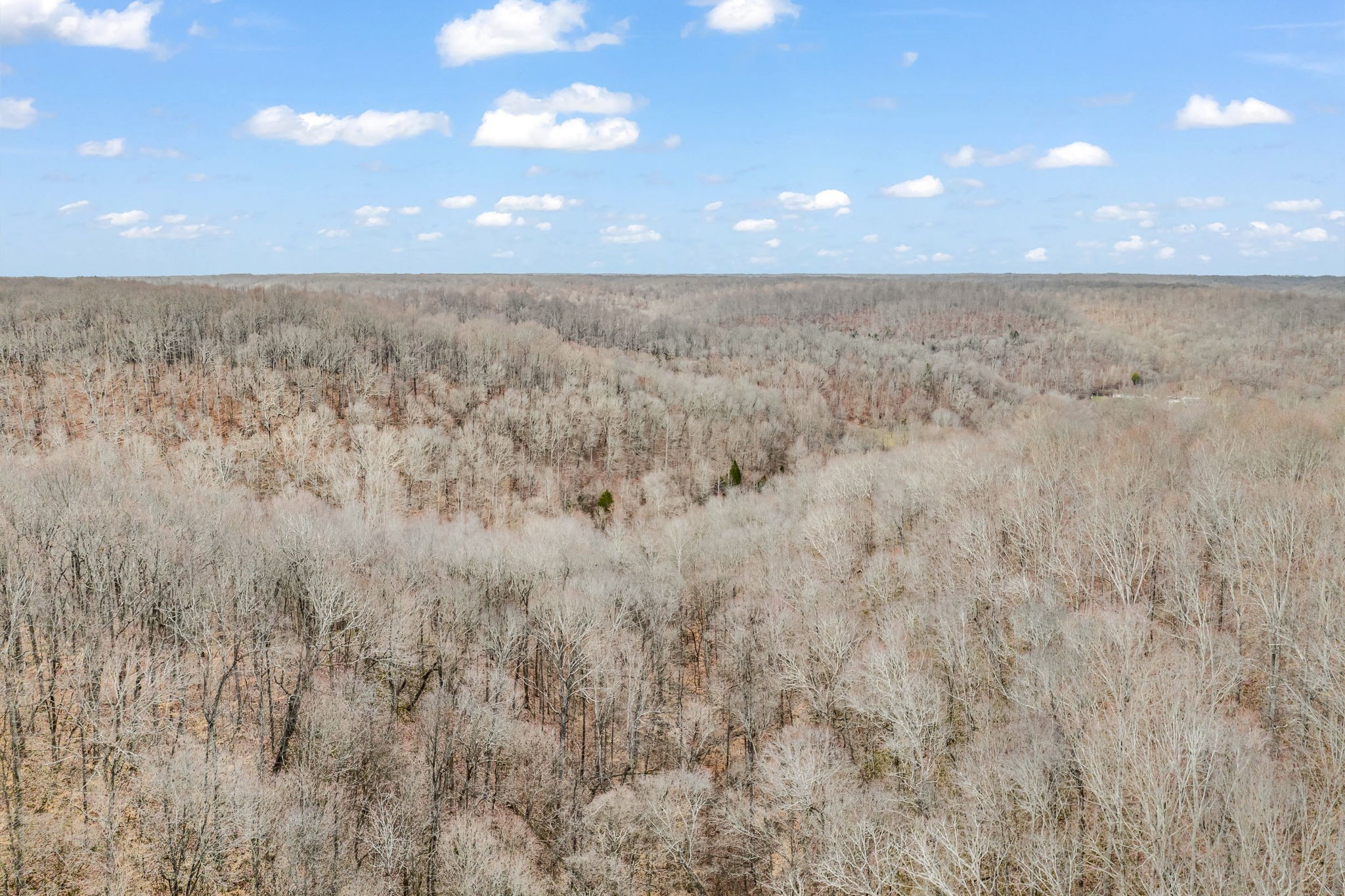 811 Clay Lick Ct Property Photo 40