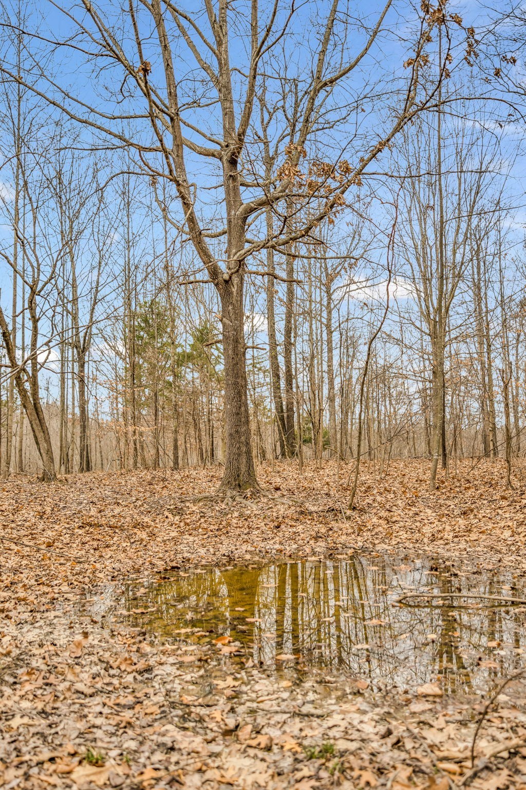 811 Clay Lick Ct Property Photo 43