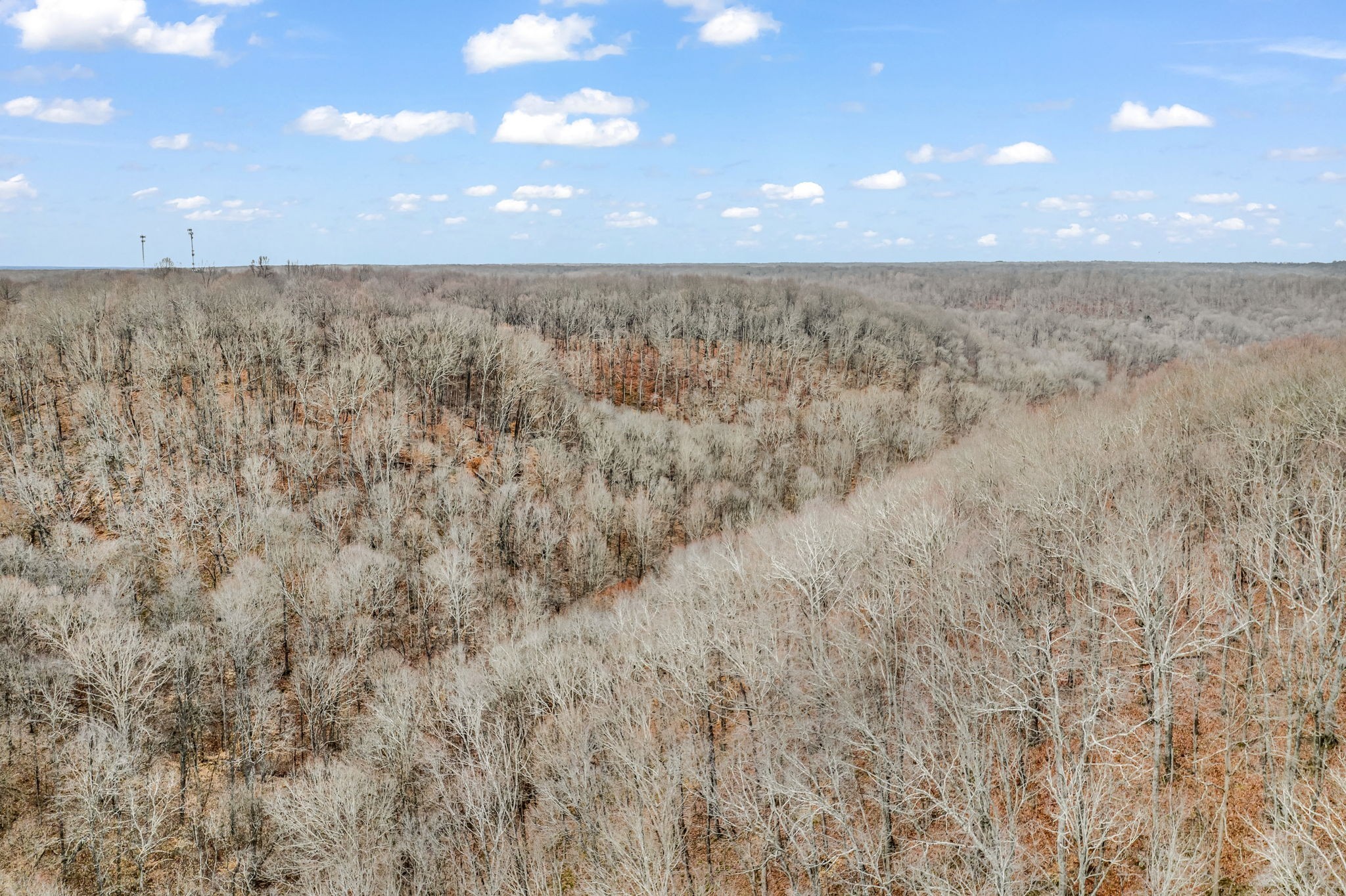 811 Clay Lick Ct Property Photo 44