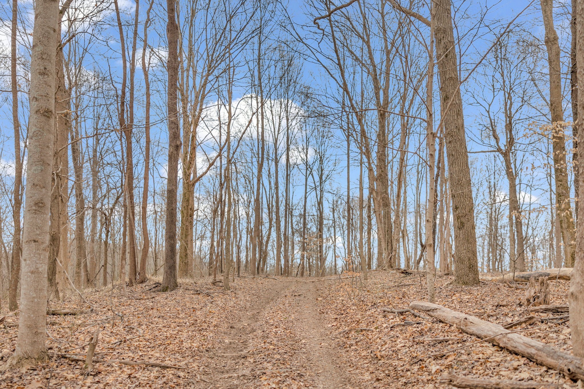 811 Clay Lick Ct Property Photo 45