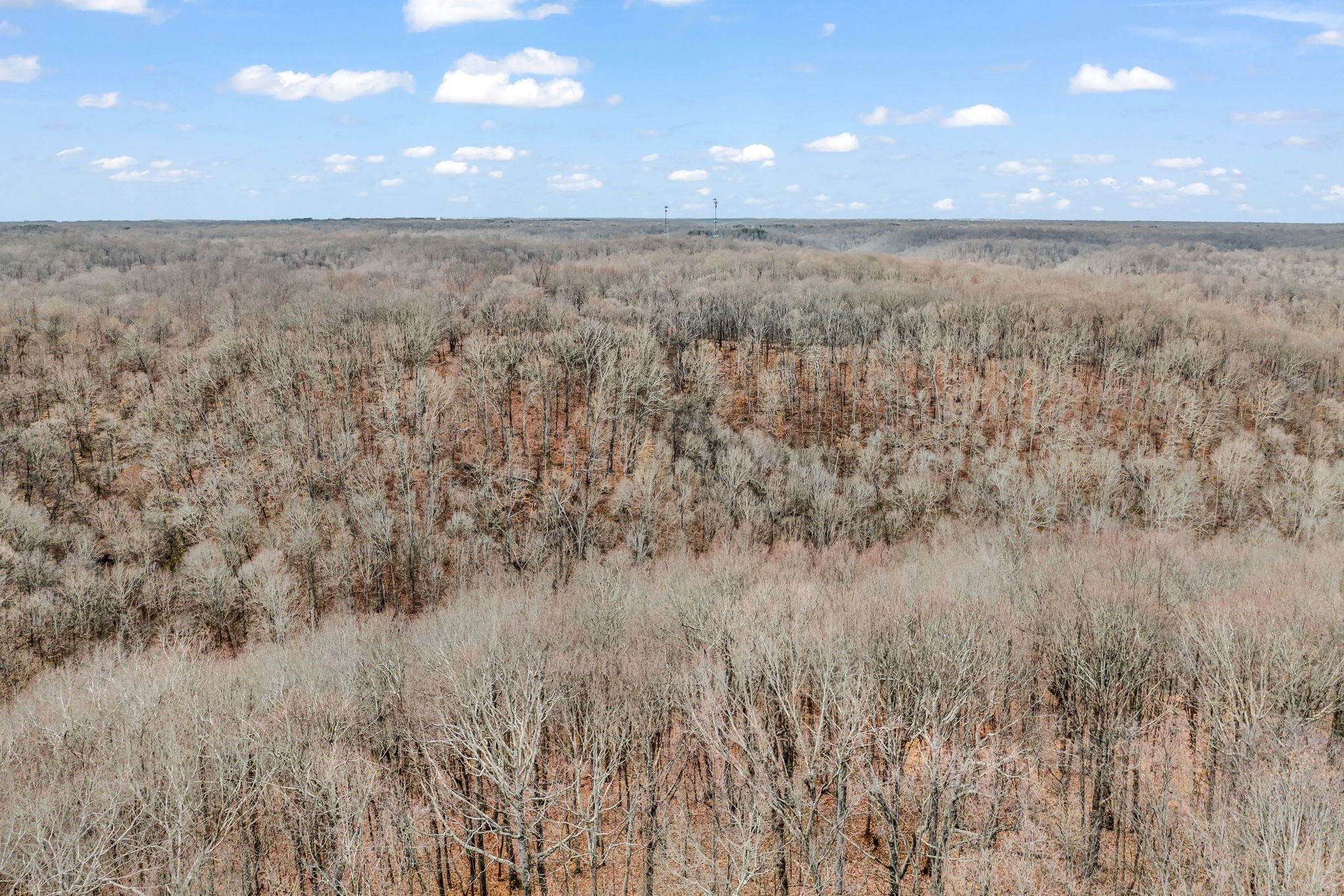 811 Clay Lick Ct Property Photo 46